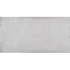 Плитка 31*60 Delfos Ceniza Efn713